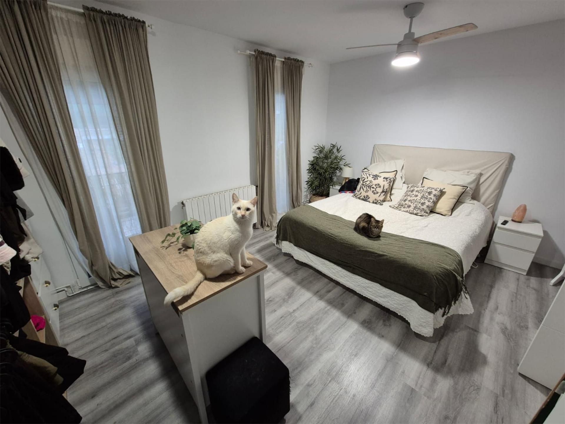 31 Viviendas y casas en venta en Calle Ezequiel Solana, Madrid Capital |  fotocasa