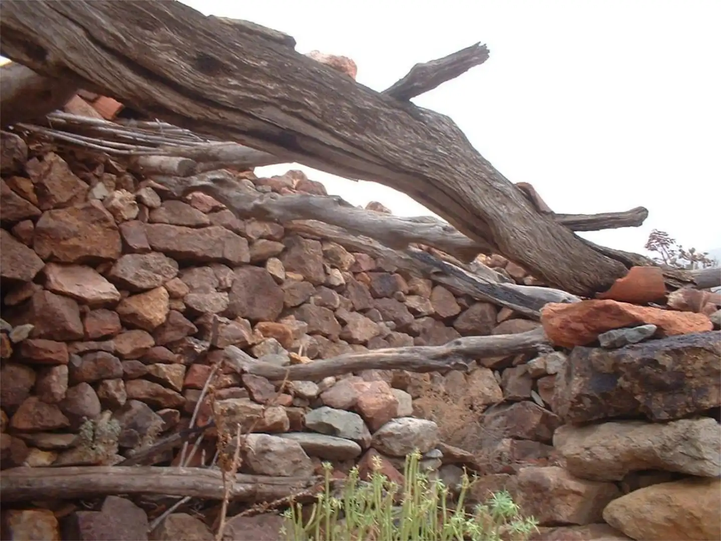 Finca rústica en venda a Calle Espíritu Santo, 15, Agüimes - Temisas Jardí de Finca rústica en venda en Agüimes amb Jardí privat, Terrassa i Traster