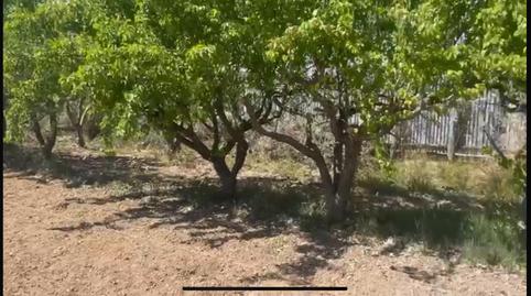 Foto 3 de Finca rústica en venda a Calle de Alfocea, 20, Juslibol,  Zaragoza Capital