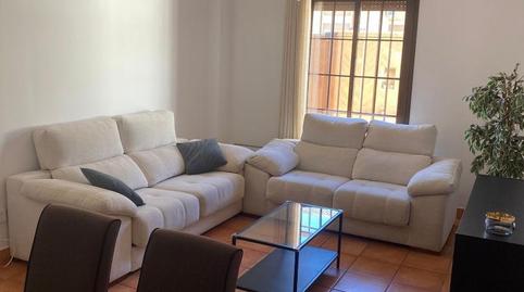 Casa o chalet de alquiler en Calle Poleo, 44, Mairena del Alcor, Sevilla - imagen 4 Foto 4 de Casa o chalet de alquiler en Calle Poleo, 44, Mairena del Alcor, Sevilla