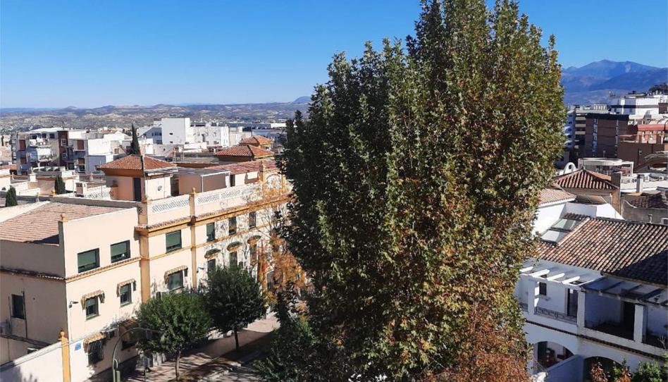 Photo 1 of Flat for rent in Avenida del Ejército Español, 12, Hospital,  Jaén Capital