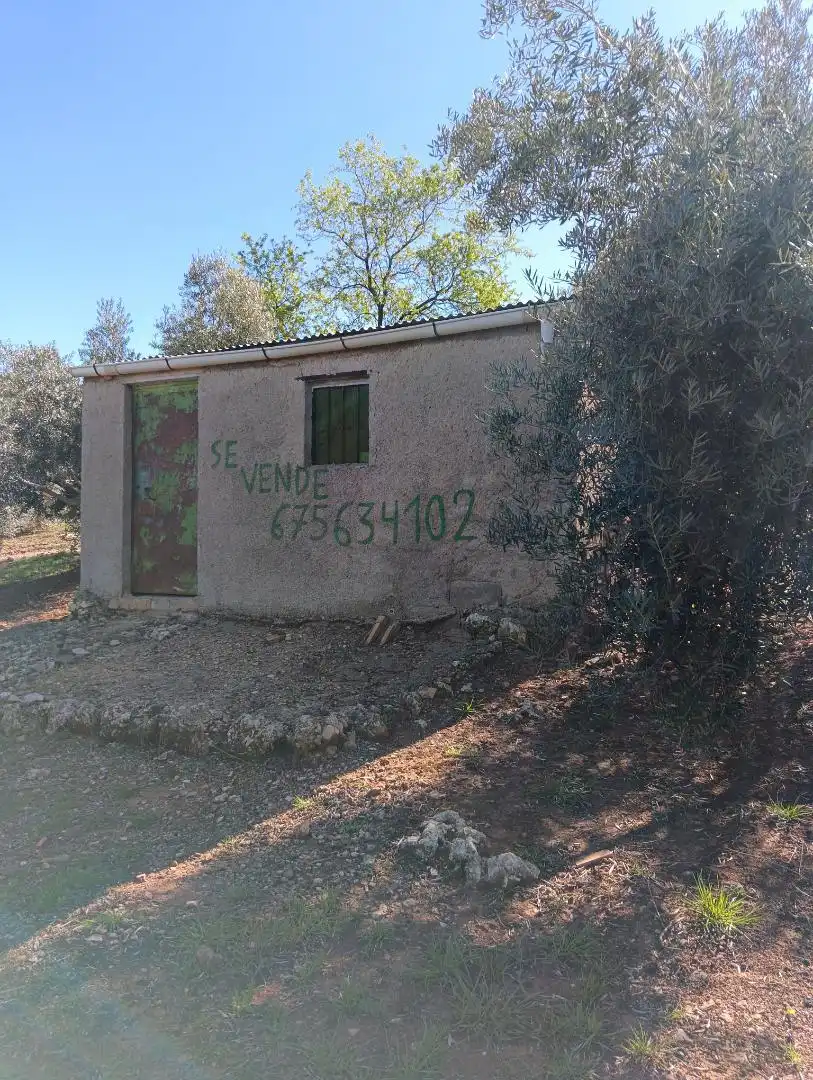 Finca rústica en venta en Beas de Segura