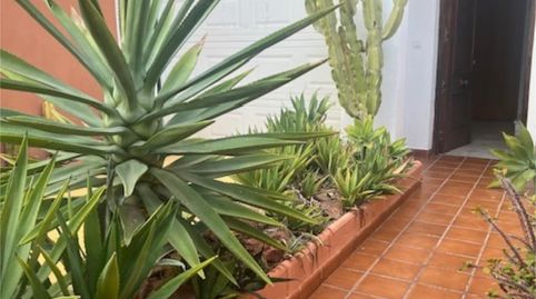 Foto 2 de Casa adosada en venda a Calle Azucena, 22, Castell de Ferro, Gualchos