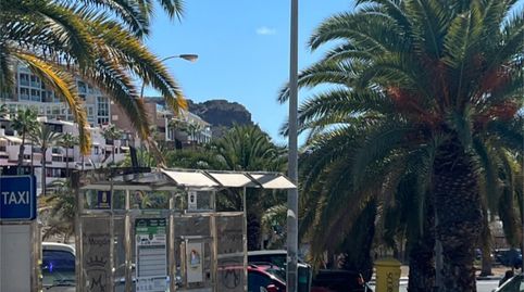 Photo 5 of Flat for sale in Calle Pardela, 11, Playa del Cura - Taurito, Mogán