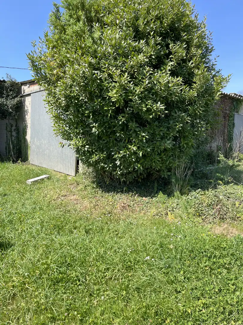 Finca rústica en venda a Oroso Finca rústica en venda en Oroso
