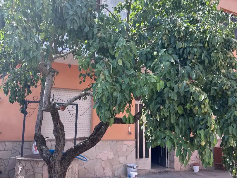 Piso en venta en Calle Rodríguez de la Fuente, 6, Cacabelos Jardín de Piso en venta en Cacabelos con Calefacción, Jardín privado y Parquet