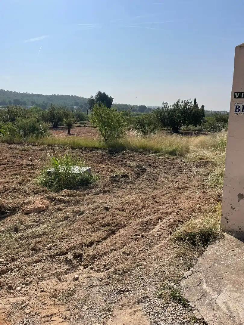 Finca rústica en venta en Calle Pelayo, 38, Casinos Finca rústica en venta en Casinos con Jardín privado, Terraza y Piscina