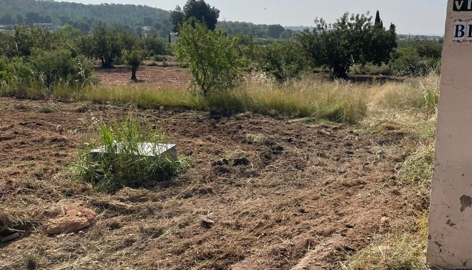 Finca rústica en venta en Calle Pelayo, 38, Casinos, Valencia - imagen 1 Foto 1 de Finca rústica en venta en Calle Pelayo, 38, Casinos, Valencia
