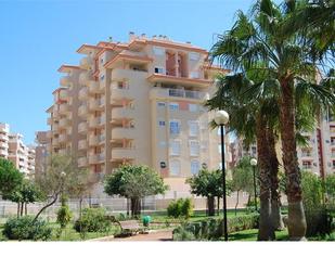 Vista exterior de Apartament en venda en La Manga del Mar Menor amb Aire condicionat, Terrassa i Piscina