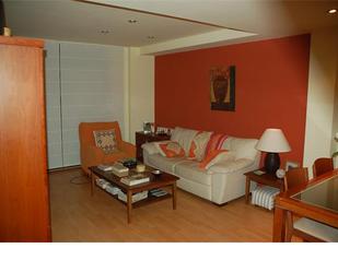 Living room of Duplex for sale in Puig-reig  with Balcony