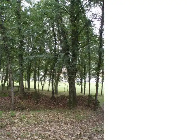 Terreno en venta en Carrer de Narcís Paulís i Vila, 17, Sant Feliu de Pallerols Terreno en venta en Sant Feliu de Pallerols