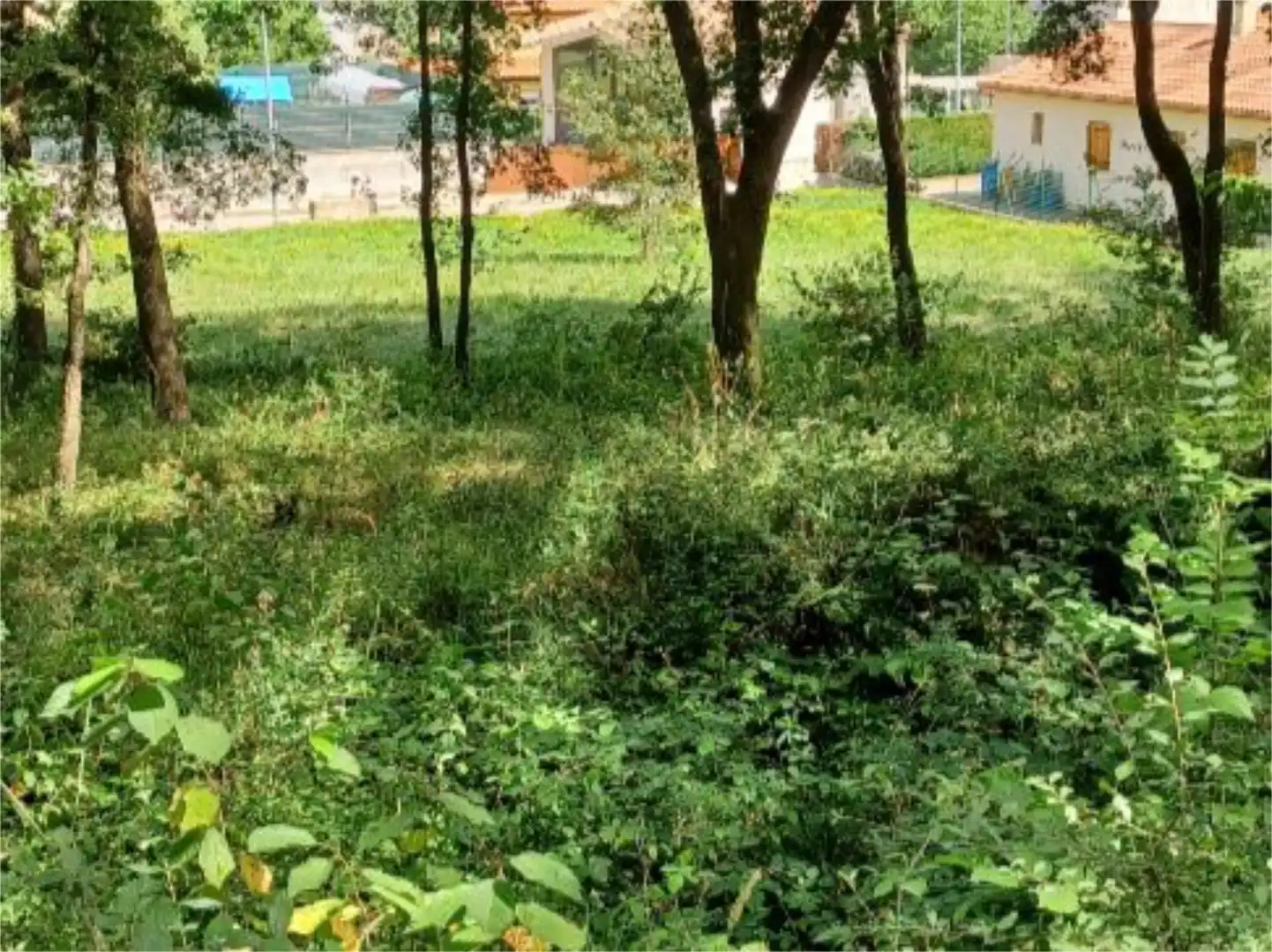 Terreno en venta en Carrer de Narcís Paulís i Vila, 17, Sant Feliu de Pallerols Terreno en venta en Sant Feliu de Pallerols