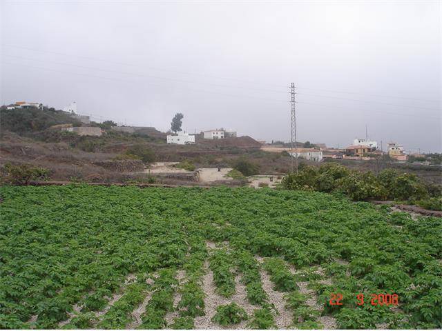 Terreno en venta en  de vilaflor de chasna, terren
