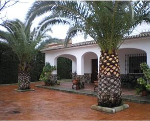 House or chalet to rent in Montilla  with Terrace and Swimming Pool