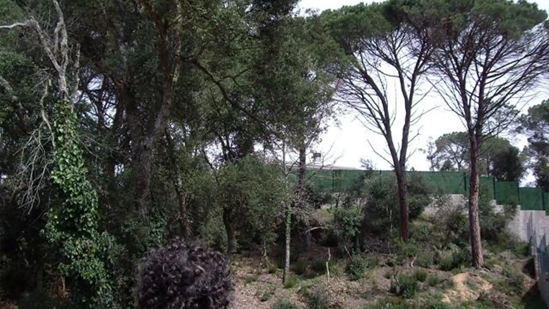 Vista exterior de Residencial en venta en Caldes de Malavella