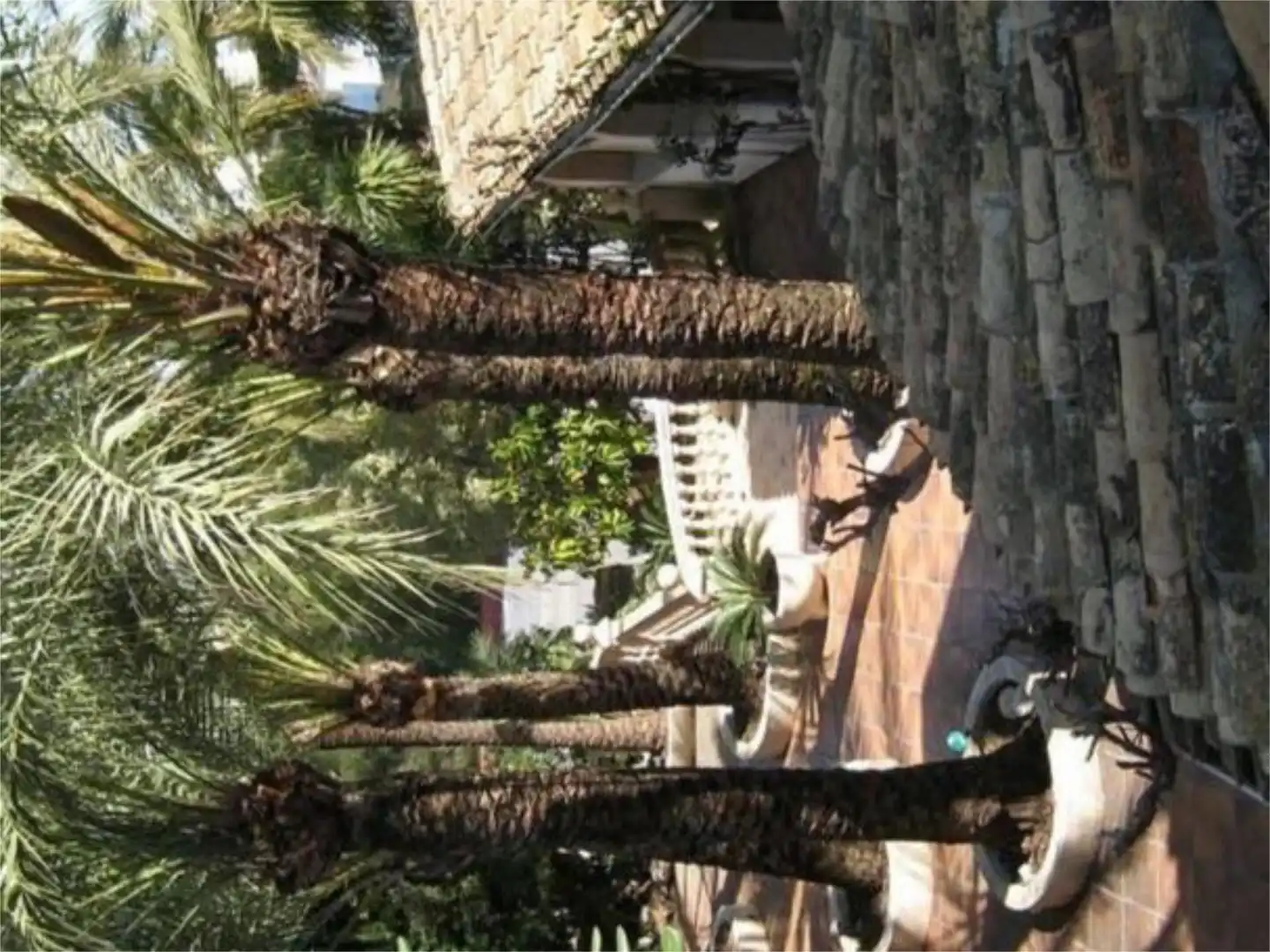 Local en venta en Partides comunes - Adsubia Jardín de Local en venta en Jávea / Xàbia con Aire acondicionado, Calefacción y Amueblado