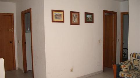 Flat to rent in Avenue Mar, 15, Punta Prima, Alicante - image 5 Photo 5 of Flat to rent in Avenue Mar, 15, Punta Prima, Alicante