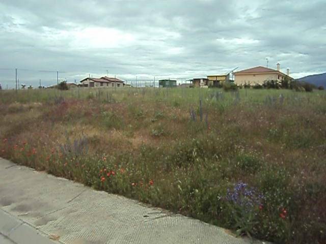 Terreno en Venta en G, 194 en Duruelo