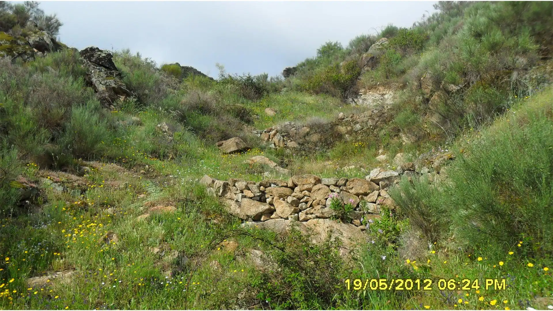 Terreno en venta en Saucelle Terreno en venta en Saucelle