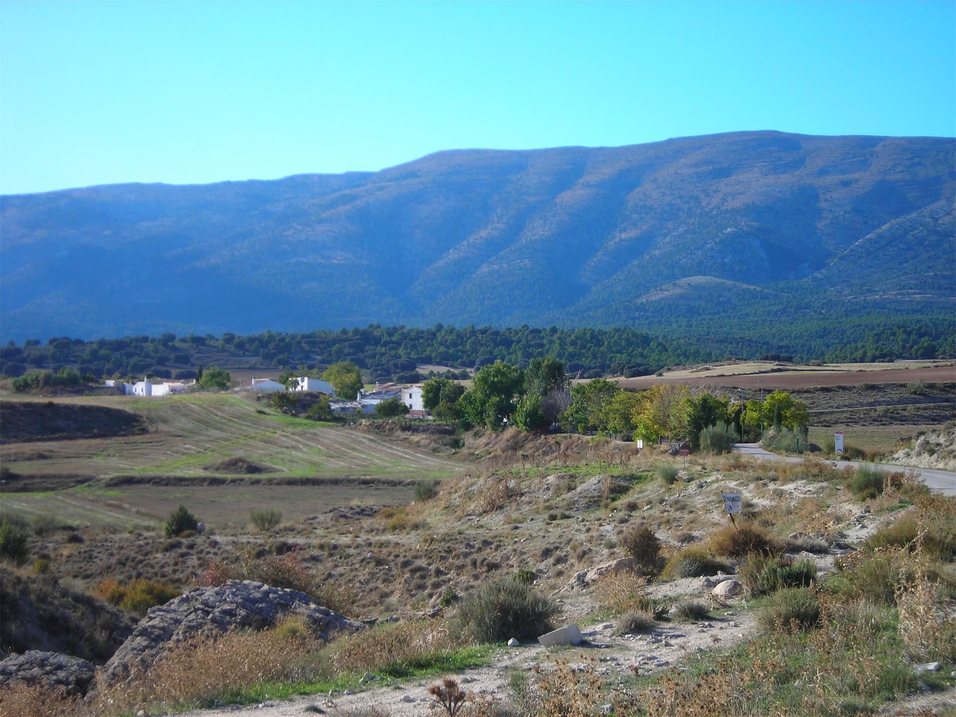 Vista exterior de Finca rústica en venta en Huéscar