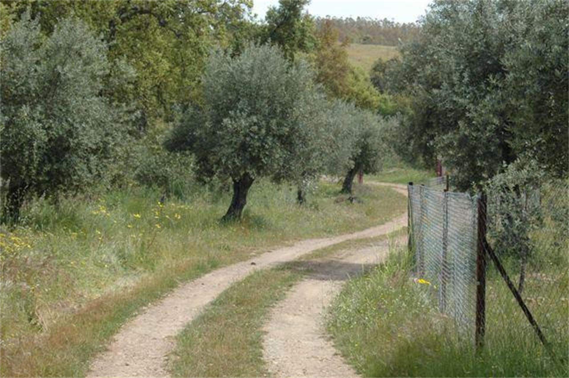 Außenansicht von Grundstücke zum verkauf in La Codosera