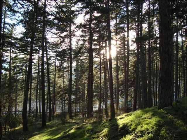 Terreno en Venta en Calle Cerro Abantos, 7 en Abantos - Carmelitas