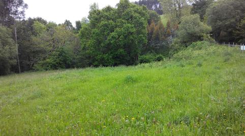 Foto 4 de Finca rústica en venta en Carretera Ca-501, 5, Limpias, Cantabria