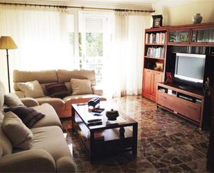 Sala d'estar de Pis en venda en Elda amb Balcó