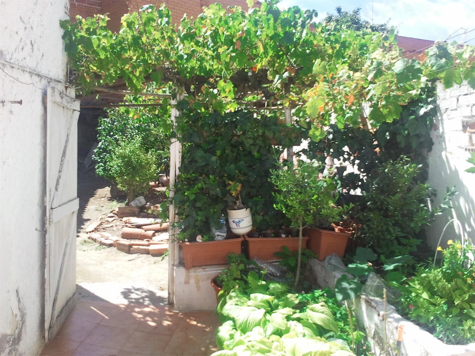 Garden of House or chalet for sale in Benavente  with Heating, Private garden and Parquet flooring