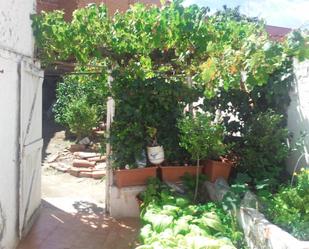 Garden of House or chalet for sale in Benavente