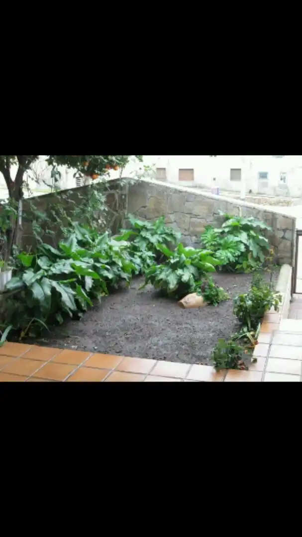 Casa o xalet en venda a Almazara, 3, Madrigal de la Vera Jardí de Casa o xalet en venda en Madrigal de la Vera amb Aire condicionat, Calefacció i Jardí privat