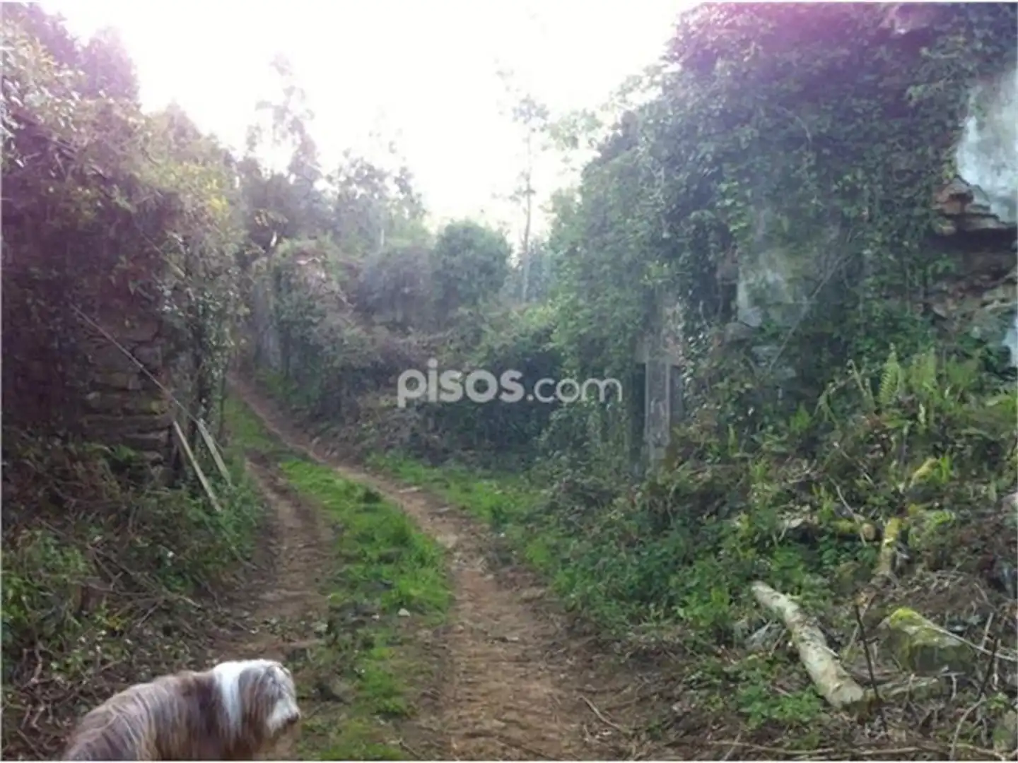 Constructible Land for sale in Ortigueira Constructible Land for sale in Ortigueira