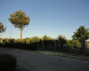 Vista exterior de Terreny en venda en Camarzana de Tera