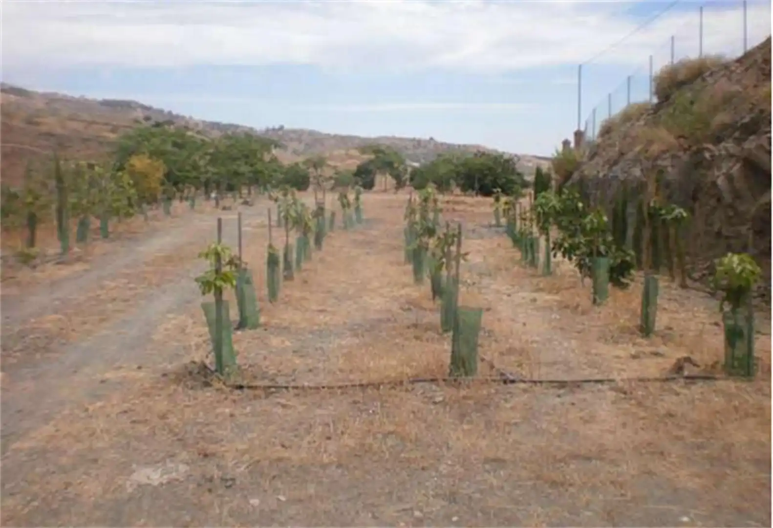 Land for sale in 265, 1, Hispanidad - Vivar Téllez Land for sale in Vélez-Málaga