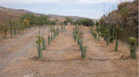 Photo 4 of Land for sale in Street 265, 1, Hispanidad - Vivar Téllez, Málaga