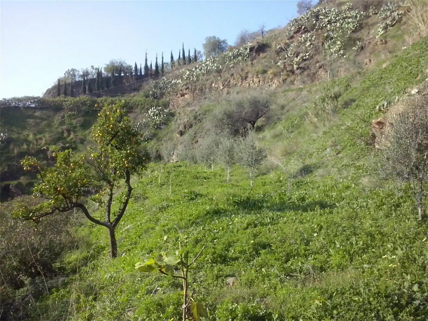Land for sale in 265, 1, Hispanidad - Vivar Téllez Land for sale in Vélez-Málaga