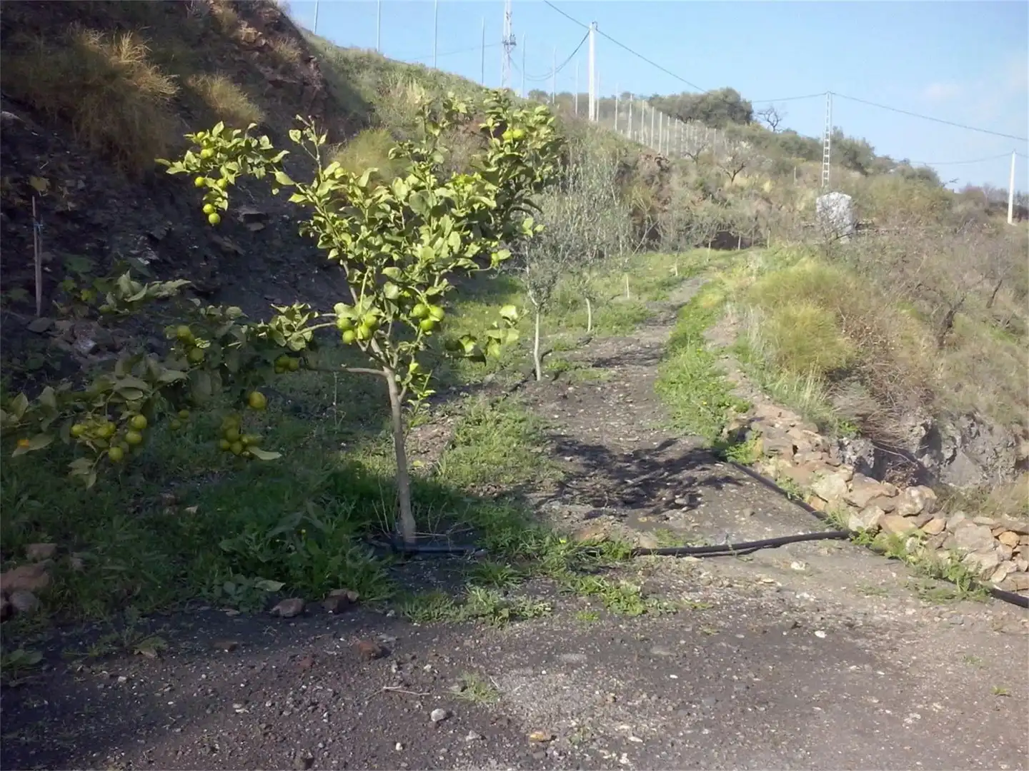 Land for sale in 265, 1, Hispanidad - Vivar Téllez Land for sale in Vélez-Málaga