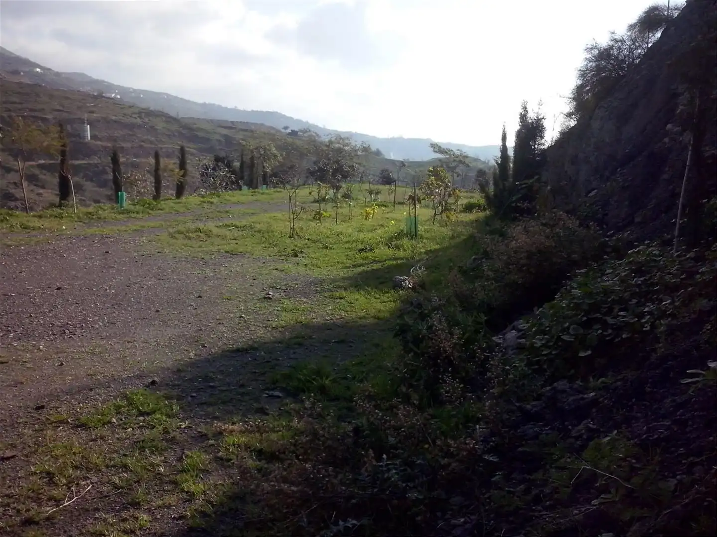 Land for sale in 265, 1, Hispanidad - Vivar Téllez Land for sale in Vélez-Málaga