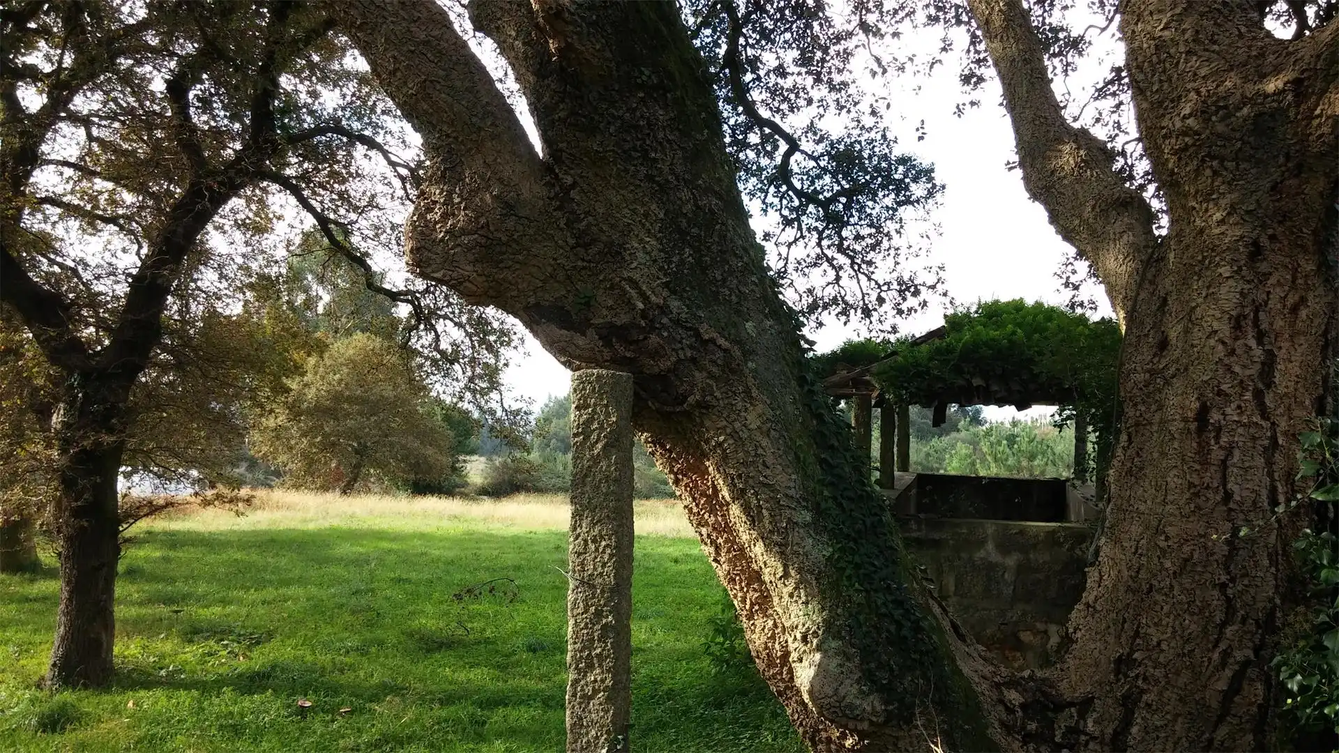 Casa o xalet en venda a Carrer Po-305, 75, Cea Jardí de Casa o xalet en venda en Vilagarcía de Arousa