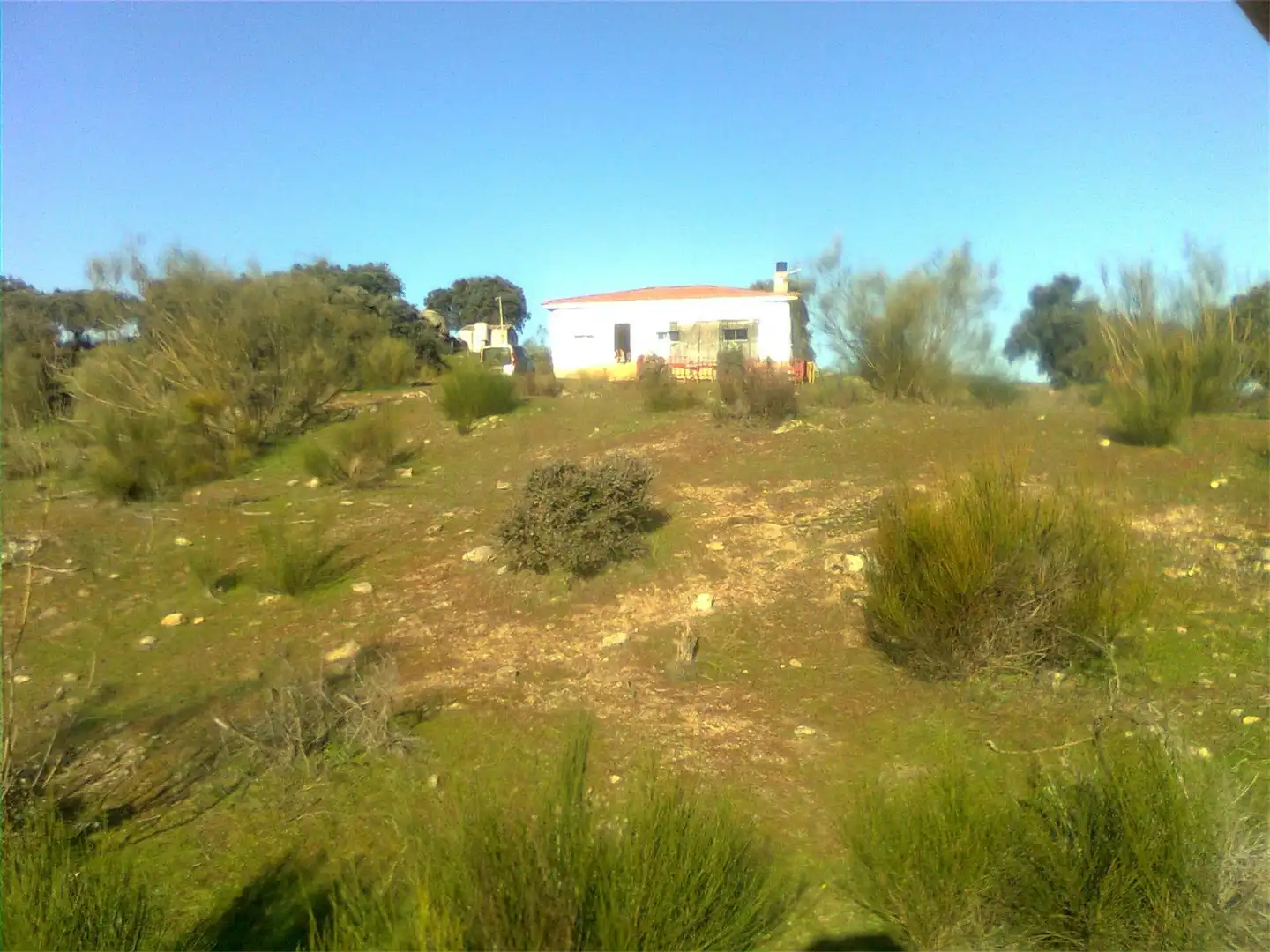 Casa o chalet en venta en Camino Charca del Pescador, 100, Oliva de Plasencia Casa o chalet en venta en Oliva de Plasencia