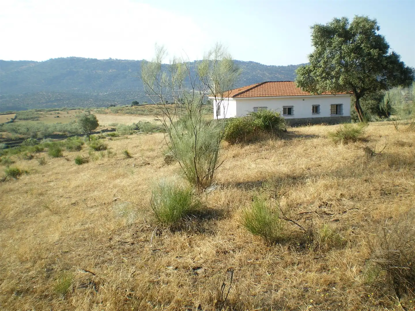 Casa o chalet en venta en Camino Charca del Pescador, 100, Oliva de Plasencia Casa o chalet en venta en Oliva de Plasencia