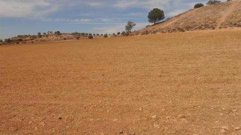 Foto 5 de Terreny en venda a Camí Tejar Honorio, 1, Madrigueras, Albacete