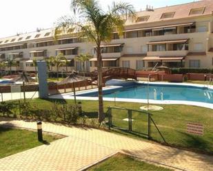 Swimming pool of Apartment to rent in La Antilla  with Terrace