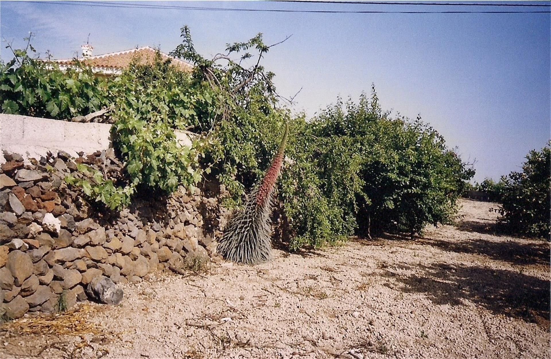 House or chalet for sale in Vilaflor de Chasna  with Private garden, Oven and Washing machine