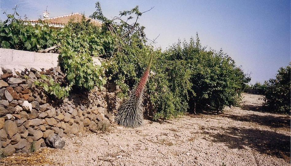 Casa o xalet en venda a Camí Real, 59, Vilaflor de Chasna, Santa Cruz de Tenerife - imatge 1 Foto 1 de Casa o xalet en venda a Camí Real, 59, Vilaflor de Chasna, Santa Cruz de Tenerife
