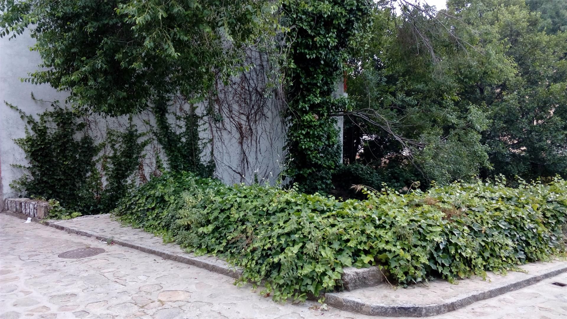 Vista exterior de Residencial en venda en Cuevas del Valle