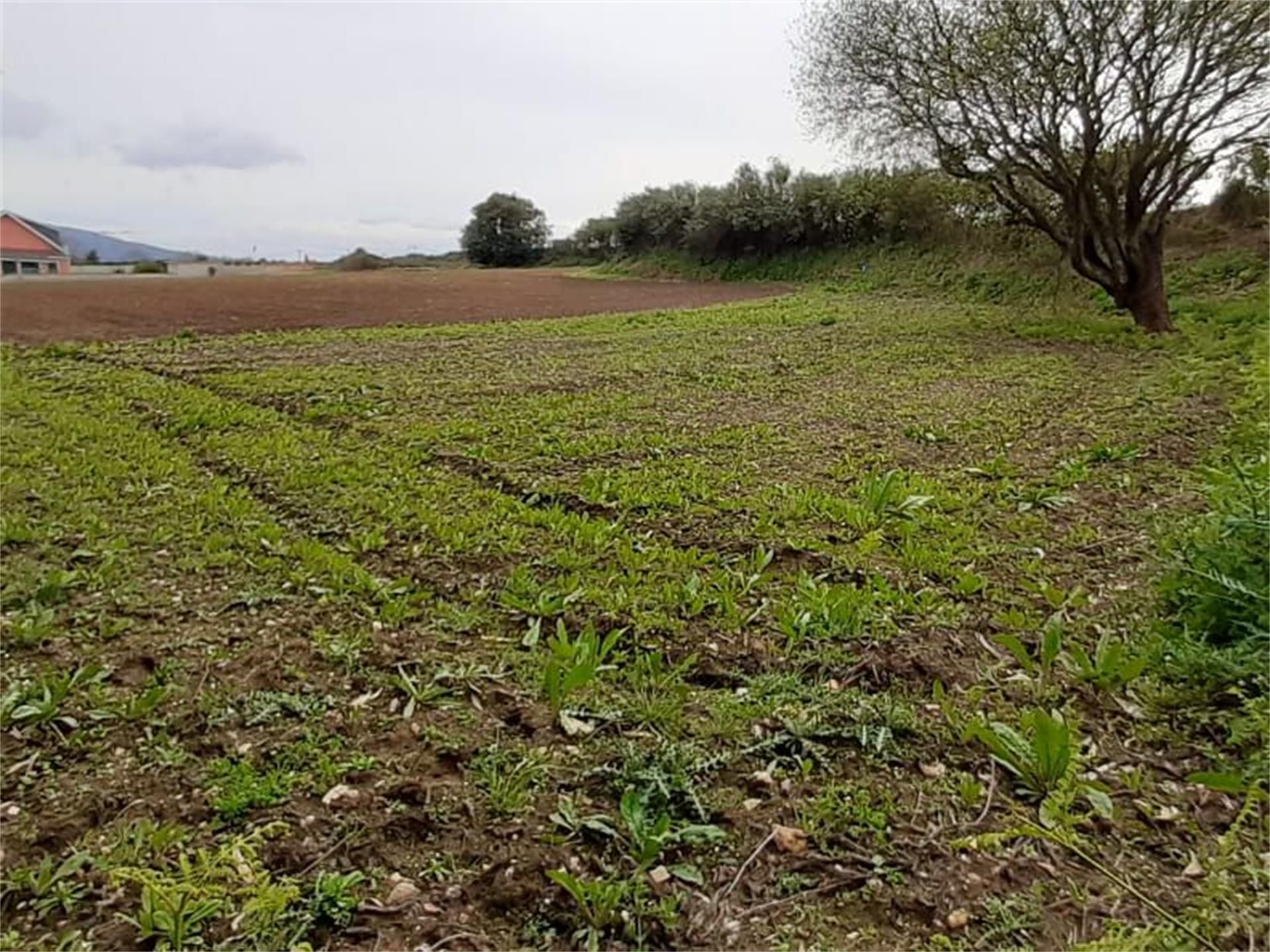 Land for sale in Ares