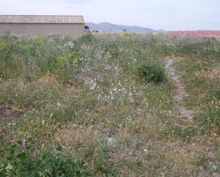 Land for sale in Almonacid de Toledo