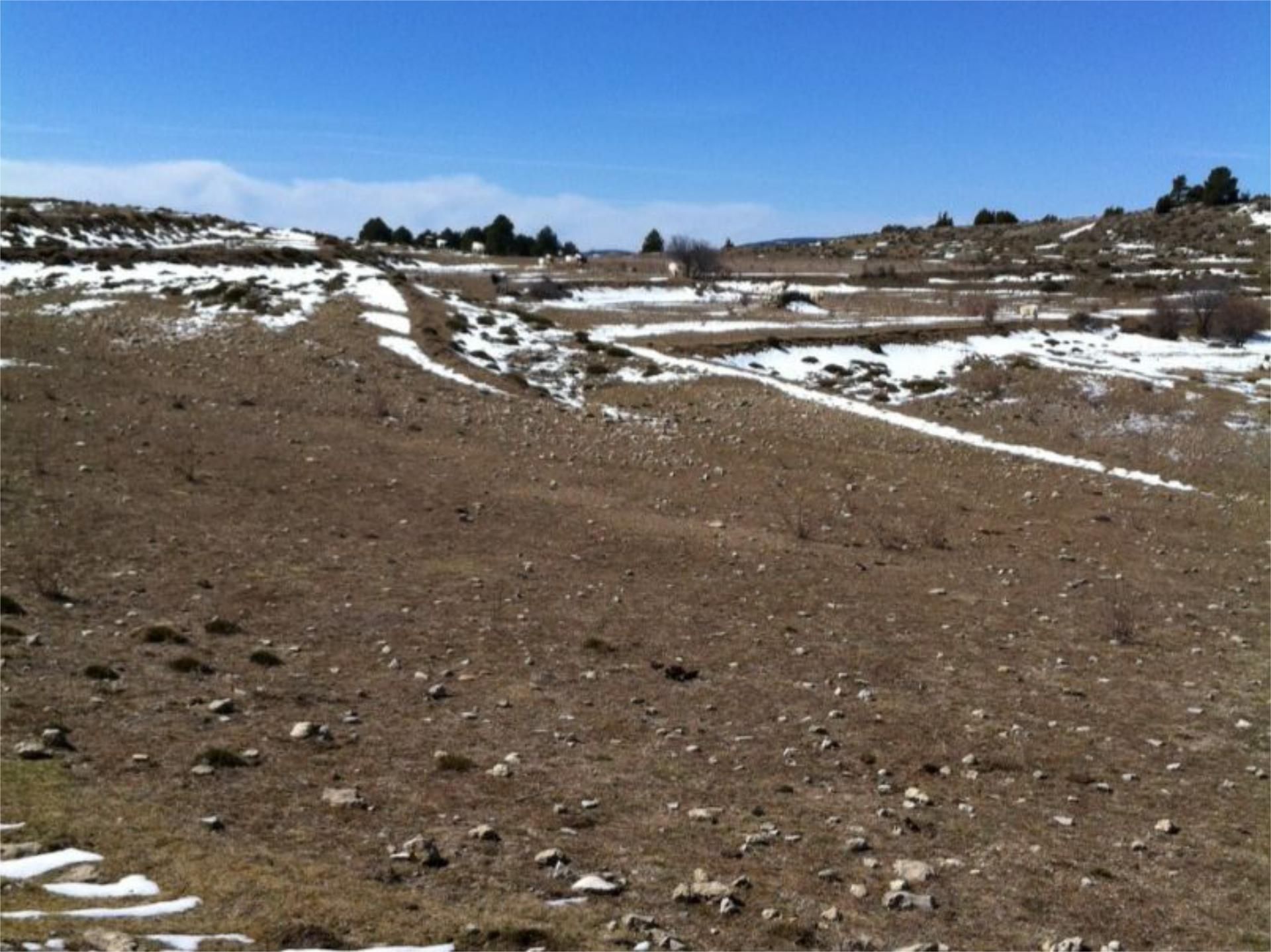 Land for sale in Mosqueruela