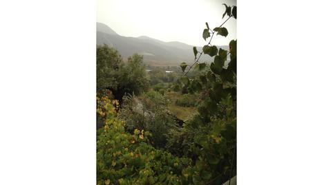 Foto 2 de Planta baixa en venda a Laujar de Andarax, Almería